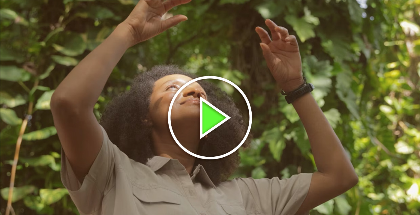Regeneracion 2024 - Cover video