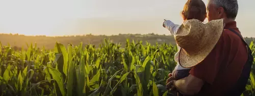 Creating shared value