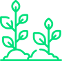 Arboles