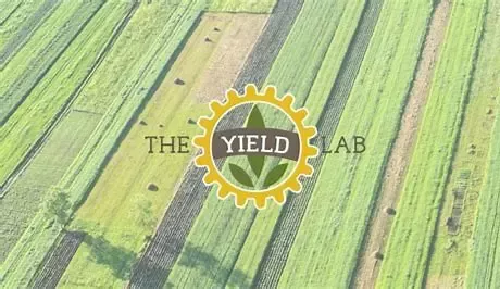 The Yield Lab Latam