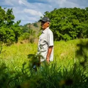 300+ Agricultores impactados por Dominicana Más®