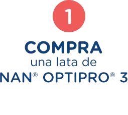 Paso 1