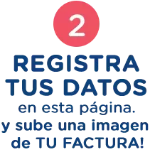 Paso 2